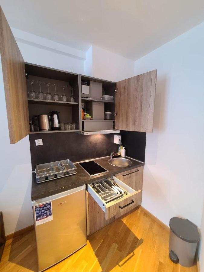 Appartement Beli Vuk - Brzece, Kopaonik Extérieur photo